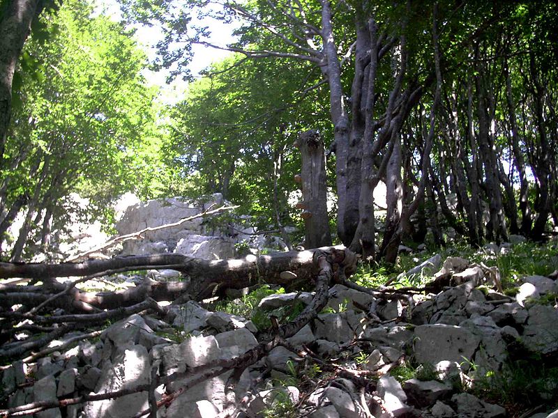 Nationalpark Risnjak 24